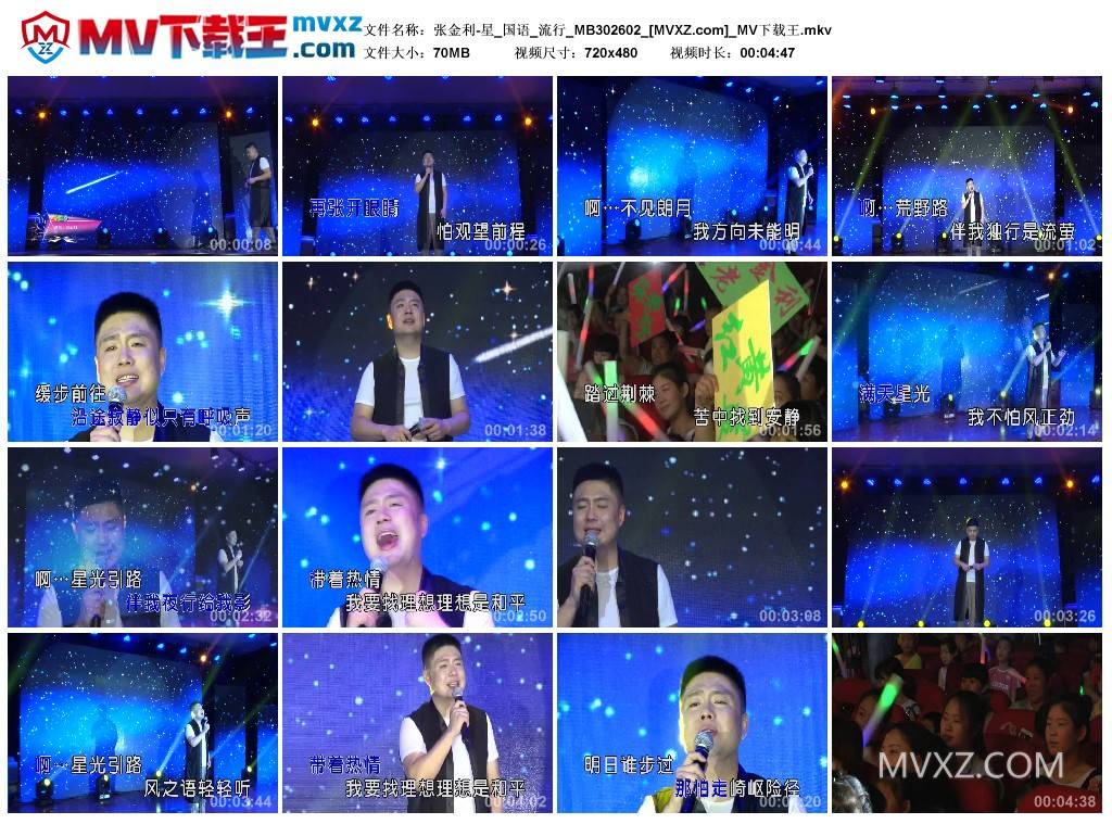 张金利-星_国语_流行_MB302602